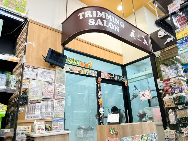 アリオ亀有店